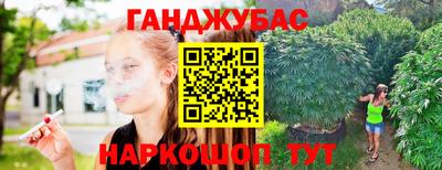 прущие грибы Усть-Илимск