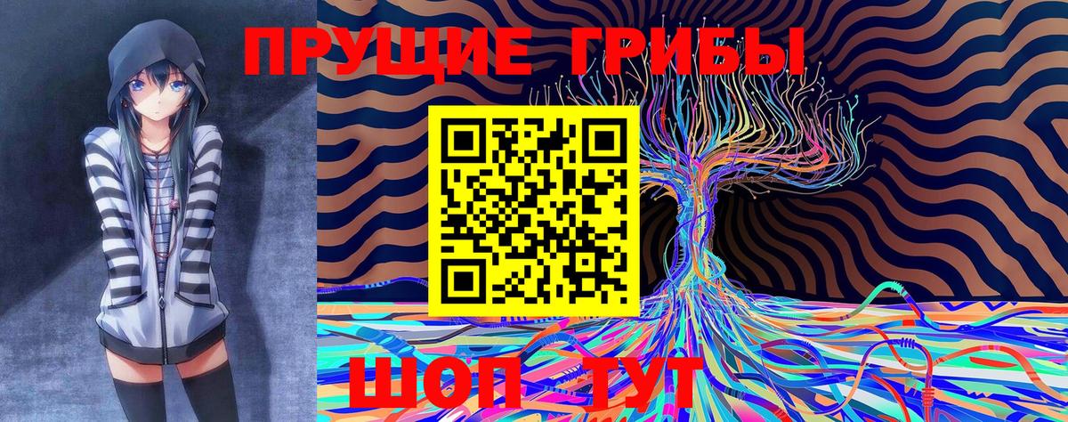 Псилоцибиновые грибы Psilocybine cubensis Альметьевск