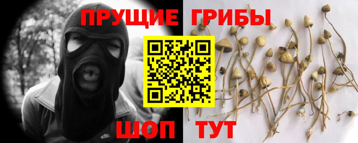Псилоцибиновые грибы Psilocybe  Псилоцибиновые грибы Psilocybine cubensis  Альметьевск  купить наркоту  Вход с VPN 